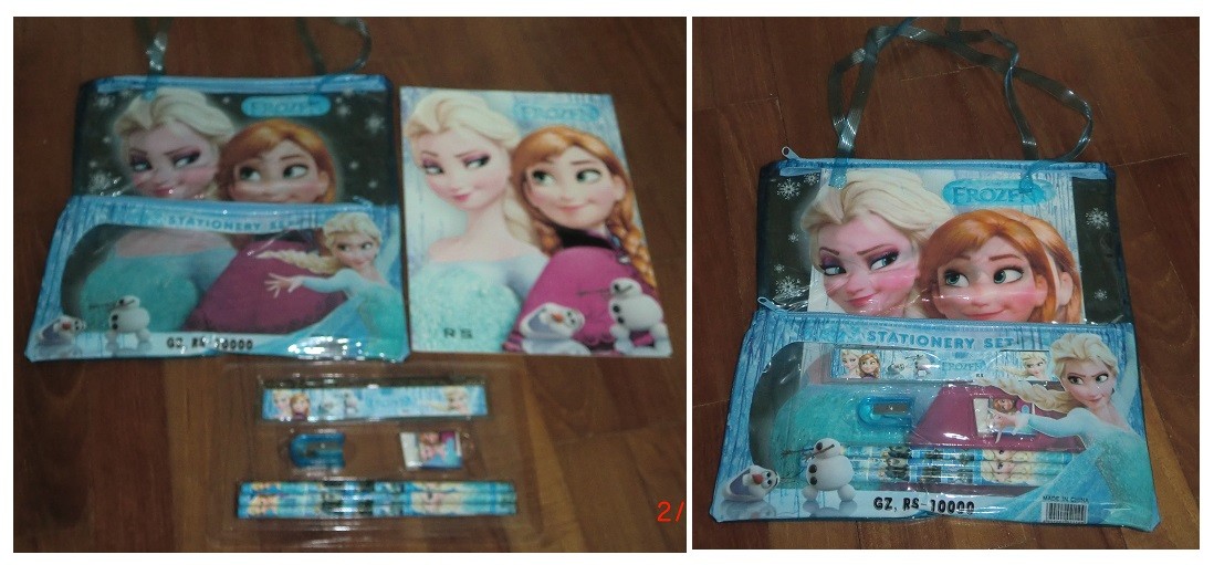 Frozen Stationary Bag Set