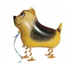 Terrier (China) Pet Balloon