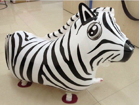 Pet Zebra