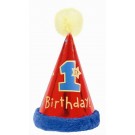 1st Birthday with Faux Trim Cone Hat