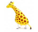 Pet Giraffe