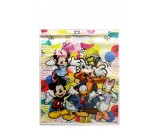 Mickey Large Treat Bags