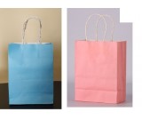 Paper Bag with handle 5pcs per pack
